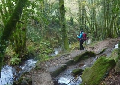 Camino Spiritual