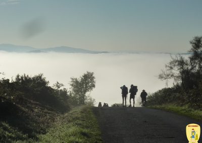 Camino Frances