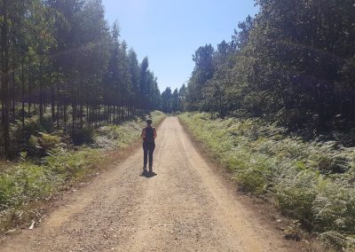 Camino Inglés