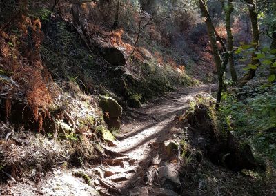 Camino Spiritual