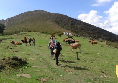 Camino Primitivo