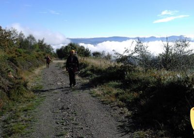 Camino Primitivo