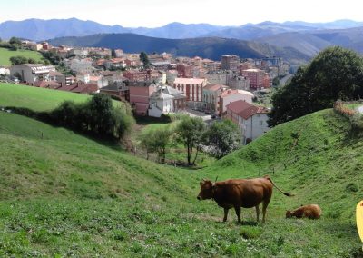 Camino Primitivo