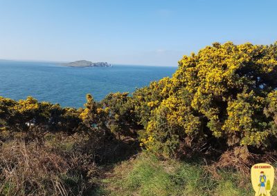 Celtic Camino