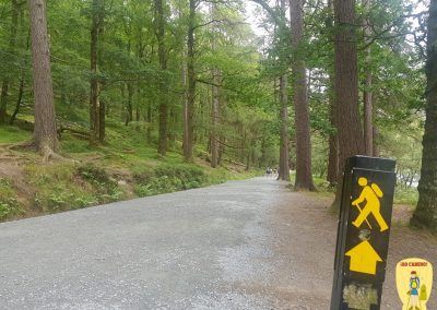 Celtic Camino