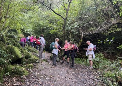 THINK PINK CAMINO