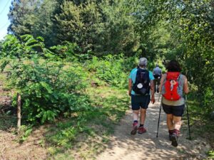 Statistieken over de Camino Santiago