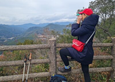 Kumano-Kodo Nakahechi Route