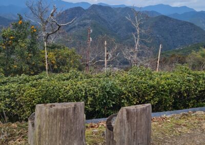 Kumano-Kodo Nakahechi Route