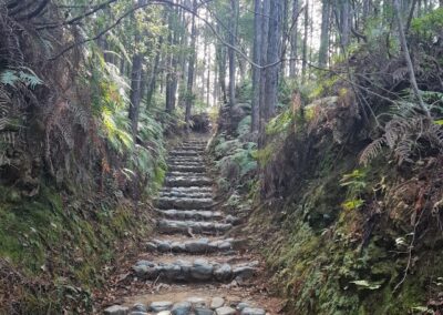 Kumano-Kodo Nakahechi Route